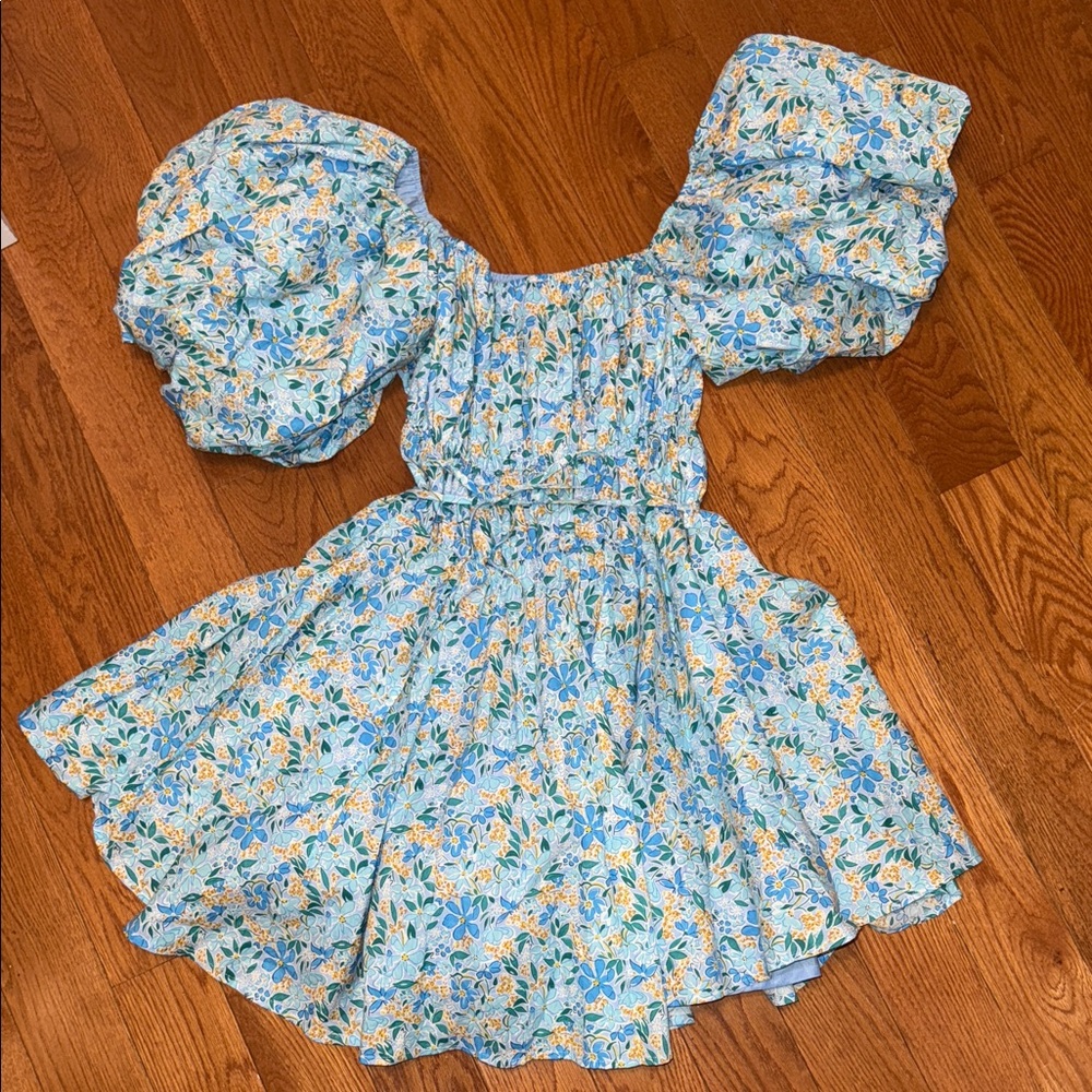 Altar'd State Sky Blue floral puff sleeve dress